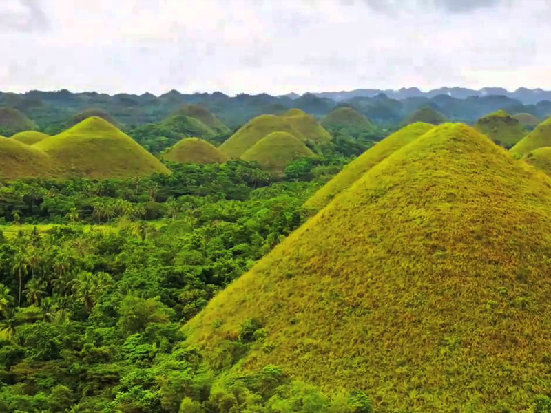 bohol countryside tour rate